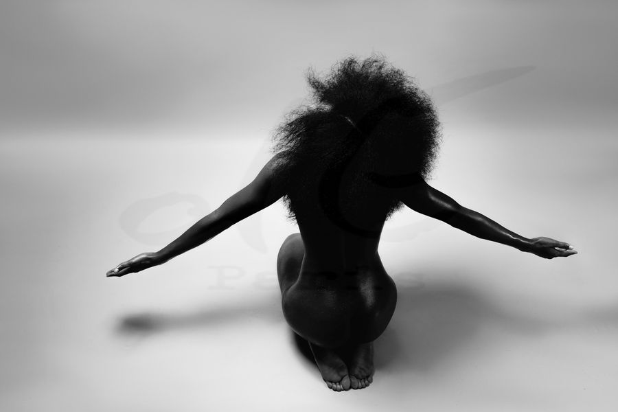 Portfolio Image